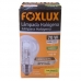 Lâmpada Halogena Classica 70W 127V - FOXLUX