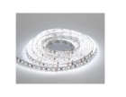 Fita Led 240 12VCC 5M 4000K Branco Neutro